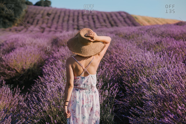 Horizontal portrait of a beautiful young woman from behind in a lavender field in floral dress and with straw hat