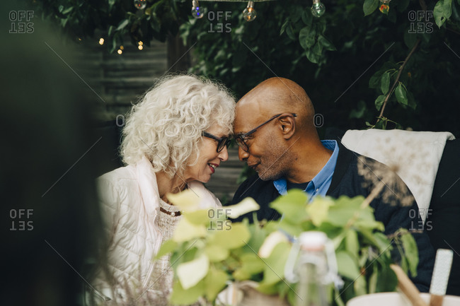 Senior female and male friends sitting face to face during garden party in back yard