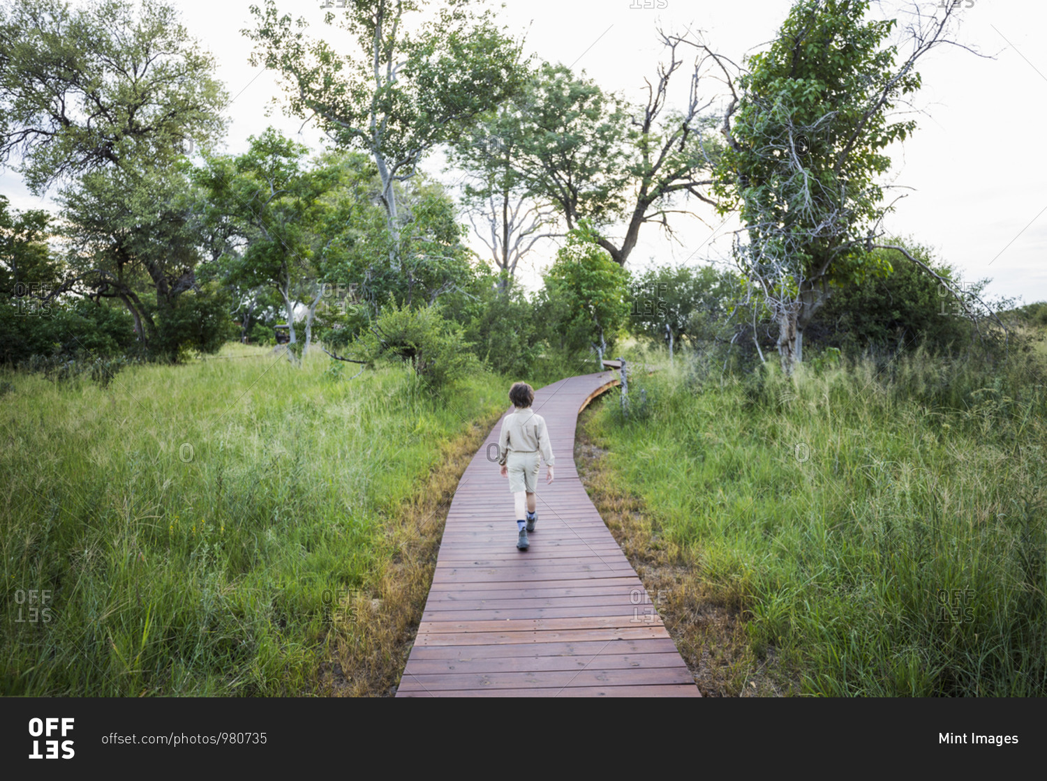 A six year old boy walking on wooden path at a tented safari camp
