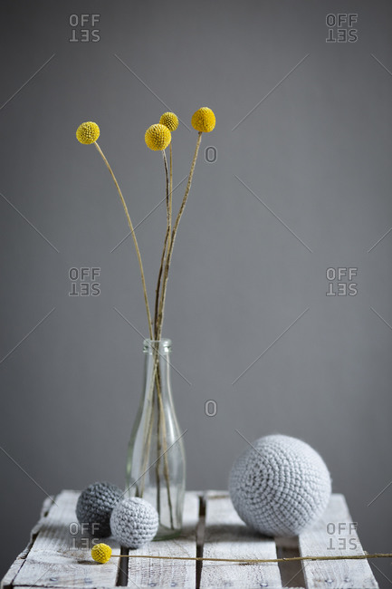 Wool spheres and bottle with blooming billy buttons