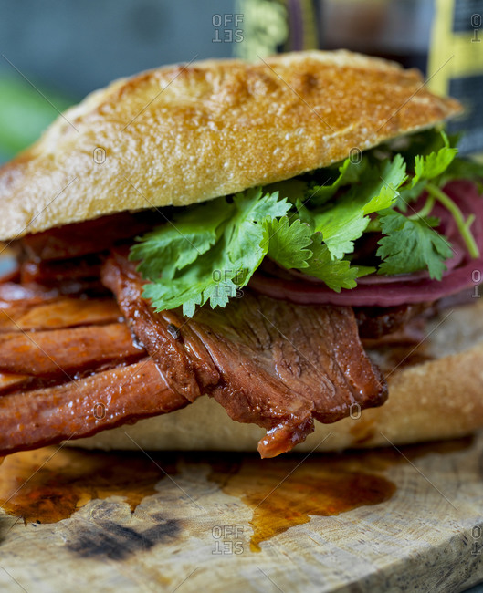 Rustic beef sandwich with pickled onions and cilantro