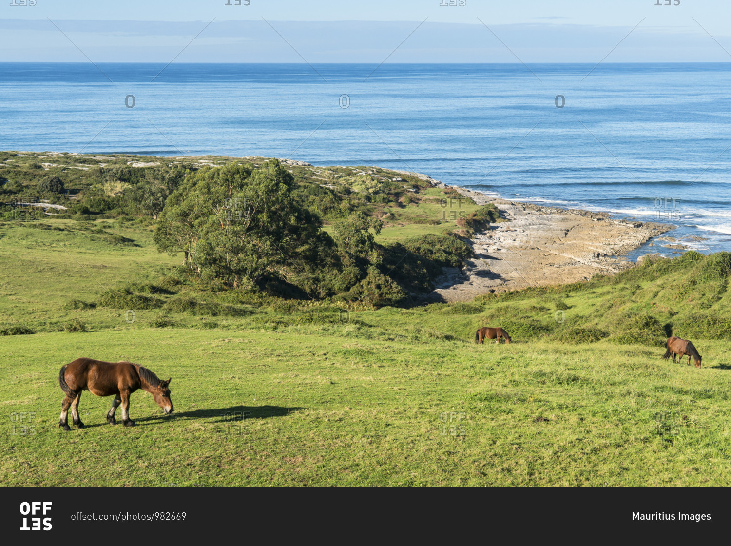 Spain, north coast, Cantabria, San Vicente de la Barquera, coast, Playa de Linera, grazing horses