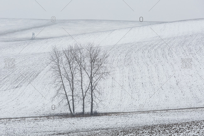 Turiec region, Slovakia in the winter