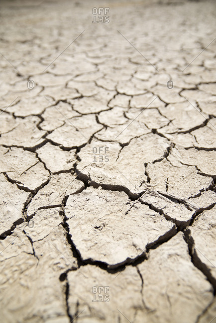 Close-up of parched mud in an arid area.