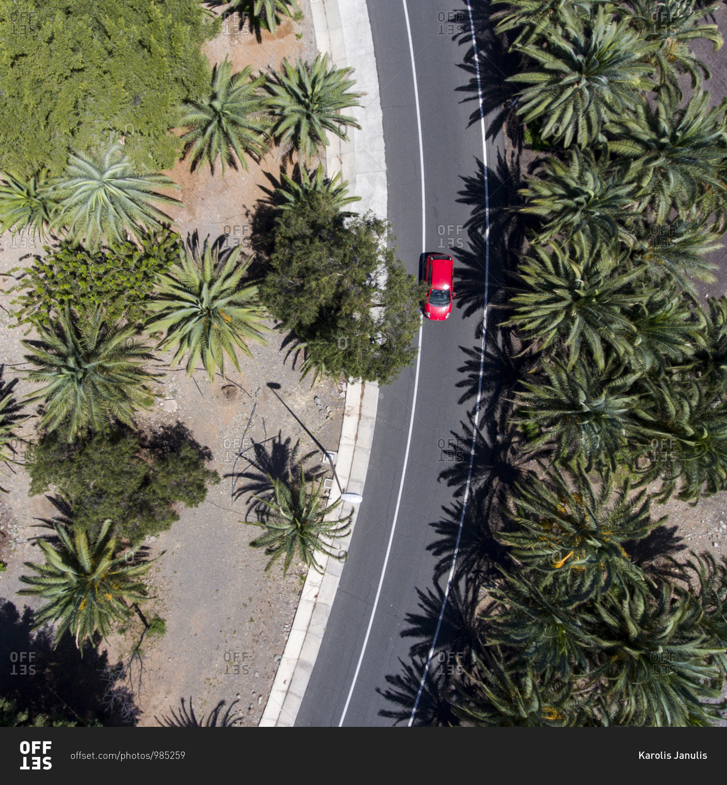 Aerial view of a red car driving on city street lined with palm trees