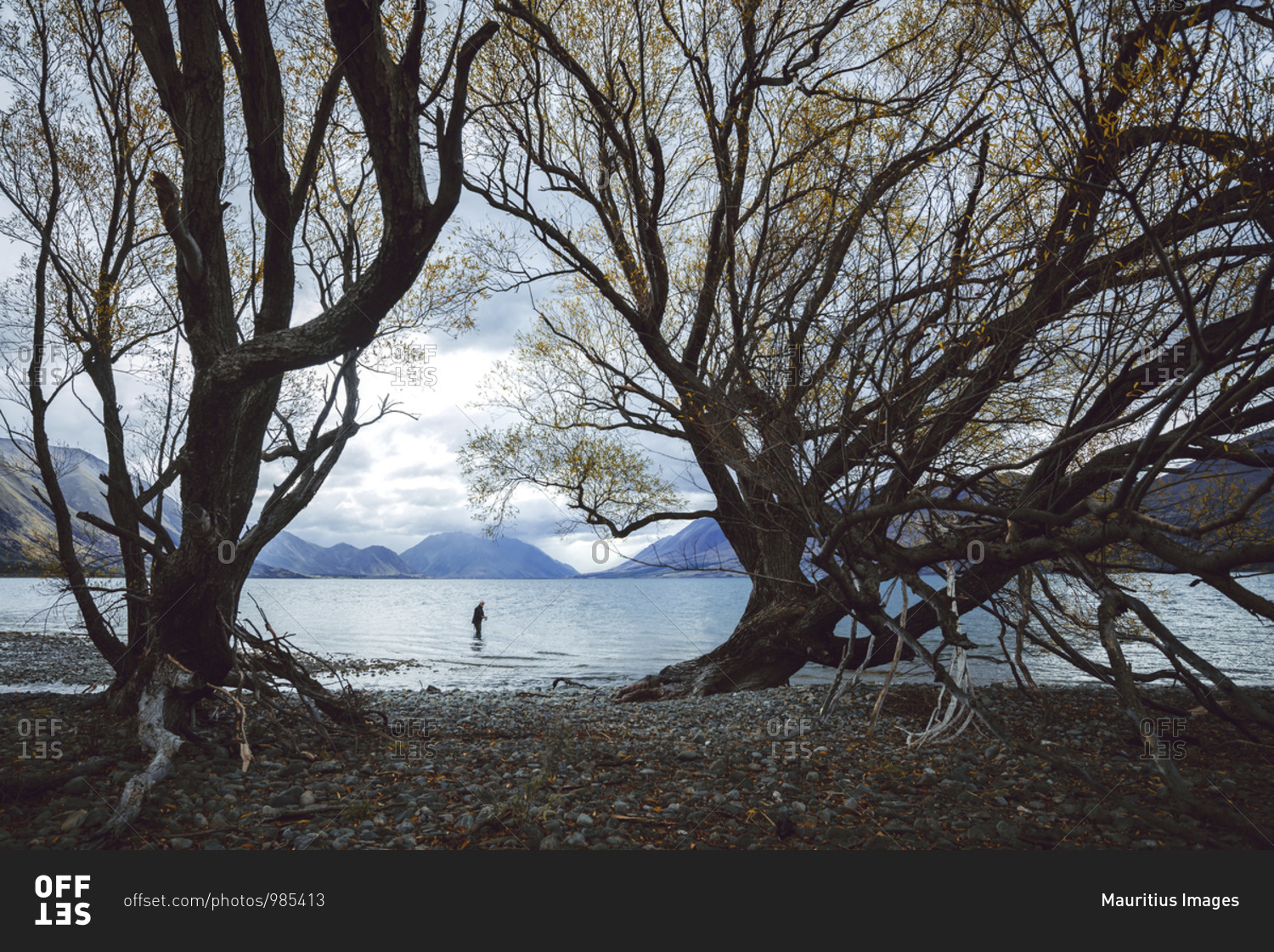 Angler on Lake Ohau framed by two trees with mountains in the background, Lake Ohau, Canterbury, New Zealand