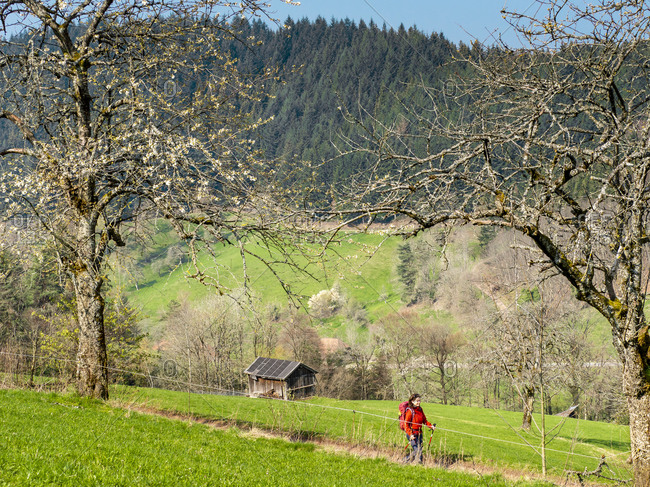 Hiking on the second valley trail, spring mood at the Landwasser corner