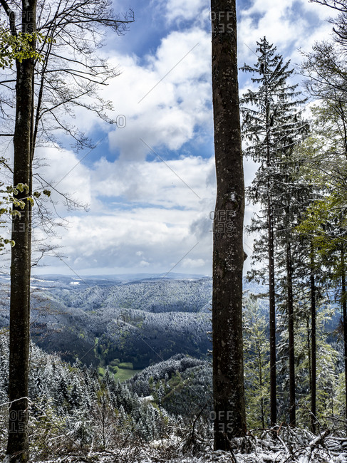 Hiking on the Zwealersteig, winter sets in in May, view of the Simonswaldertal