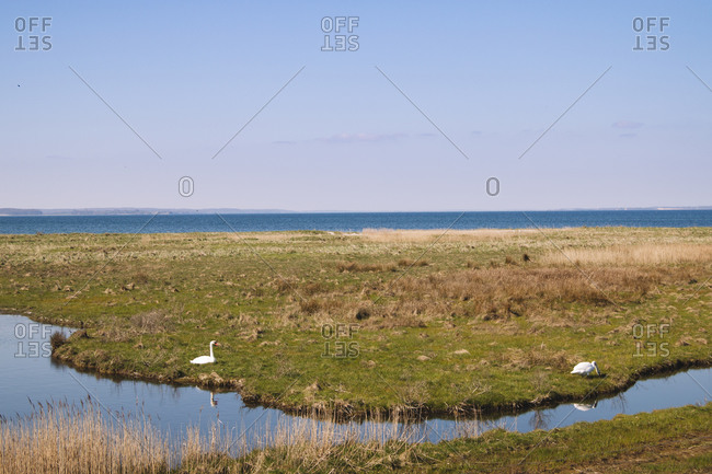 Landscape in the nature reserve Geltinger Birk, Baltic Sea, Schleswig Holstein.