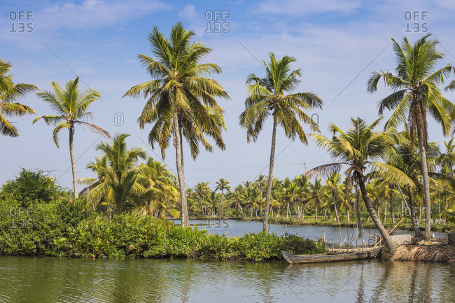 India, Kerala, Kollam, Munroe Island, Palm trees reflecting in backwaters