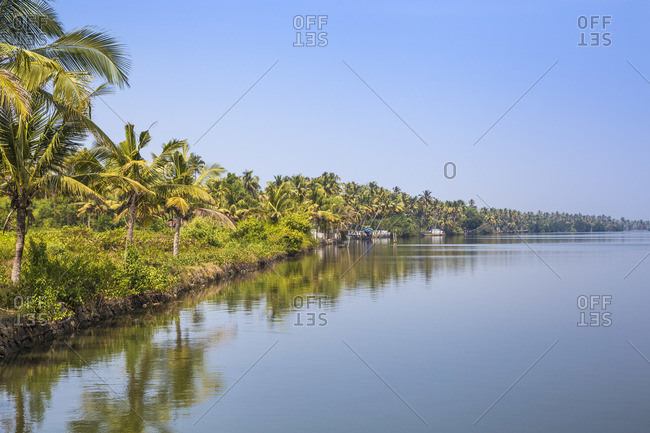 Backwaters of Cochin Kochi, Kerala India