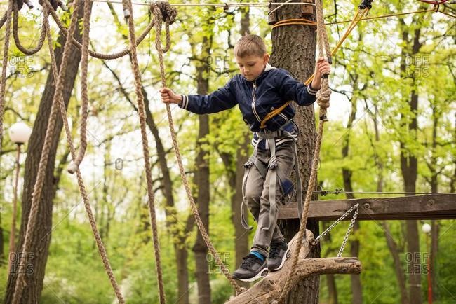 Boy in rope harness on climbing platform in tree in adventure park