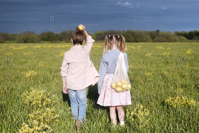 Elementary siblings standing with fresh lemons while standing at rape field on sunny day