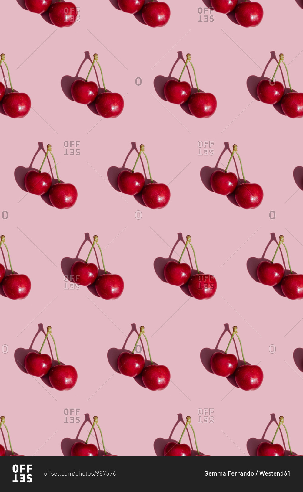 Pattern of fresh cherries on pink background