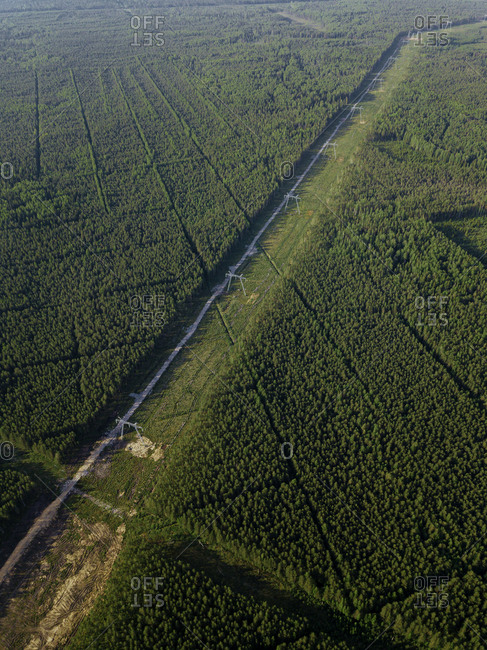 Russia- Leningrad Oblast- Tikhvin- Aerial view of electricity pylons in middle of deforested area