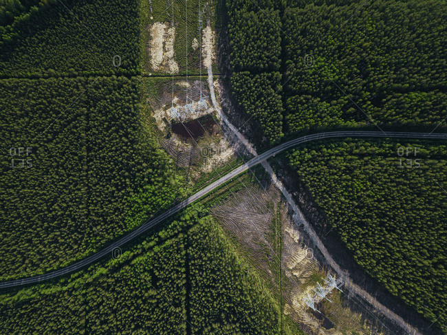 Russia- Leningrad Oblast- Tikhvin- Aerial view of electricity pylons in middle of deforested area