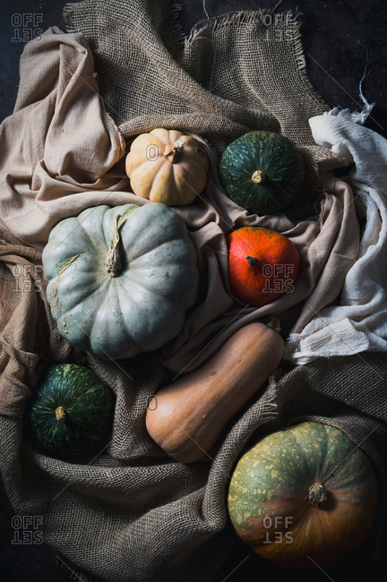 Variety of different pumpkins and squashes