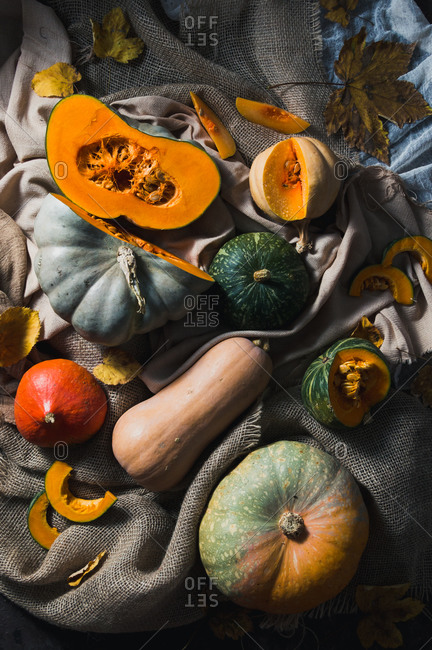 Variety of different pumpkins and squashes