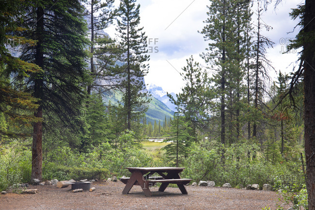 Empty campsite and picnic table in the Canada Rockies, Jasper National Park, Canada