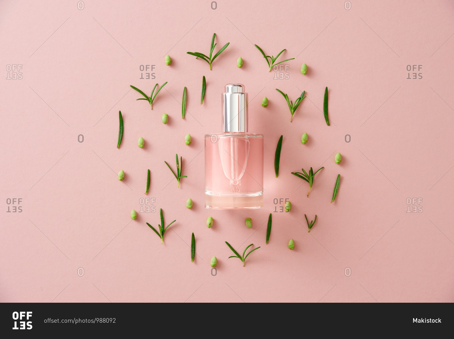 Flat lay composition with herbal essential oil on pink background
