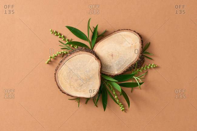 Variety of herbs around empty cutting board on beige background, top view