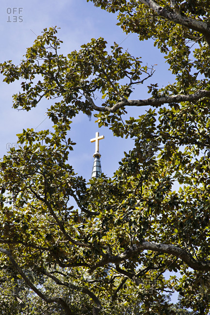 Cross on top of St John's Church seen between tree branches, Savannah, Georgia