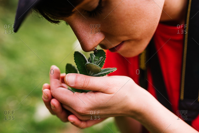 Closeup of relaxed androgynous woman smelling green plant on field and enjoying fresh fragrant