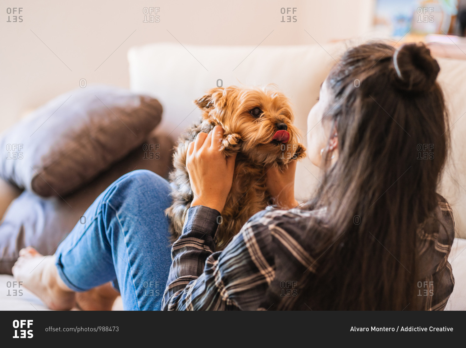 Happy young female in casual wear holding cute fluffy little dog while sitting in front of laptop during free time at home
