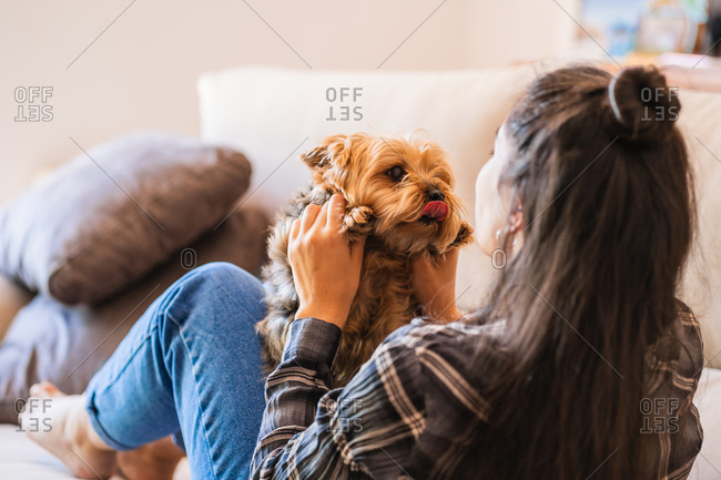 Happy Cute Animal Stock Photos Offset