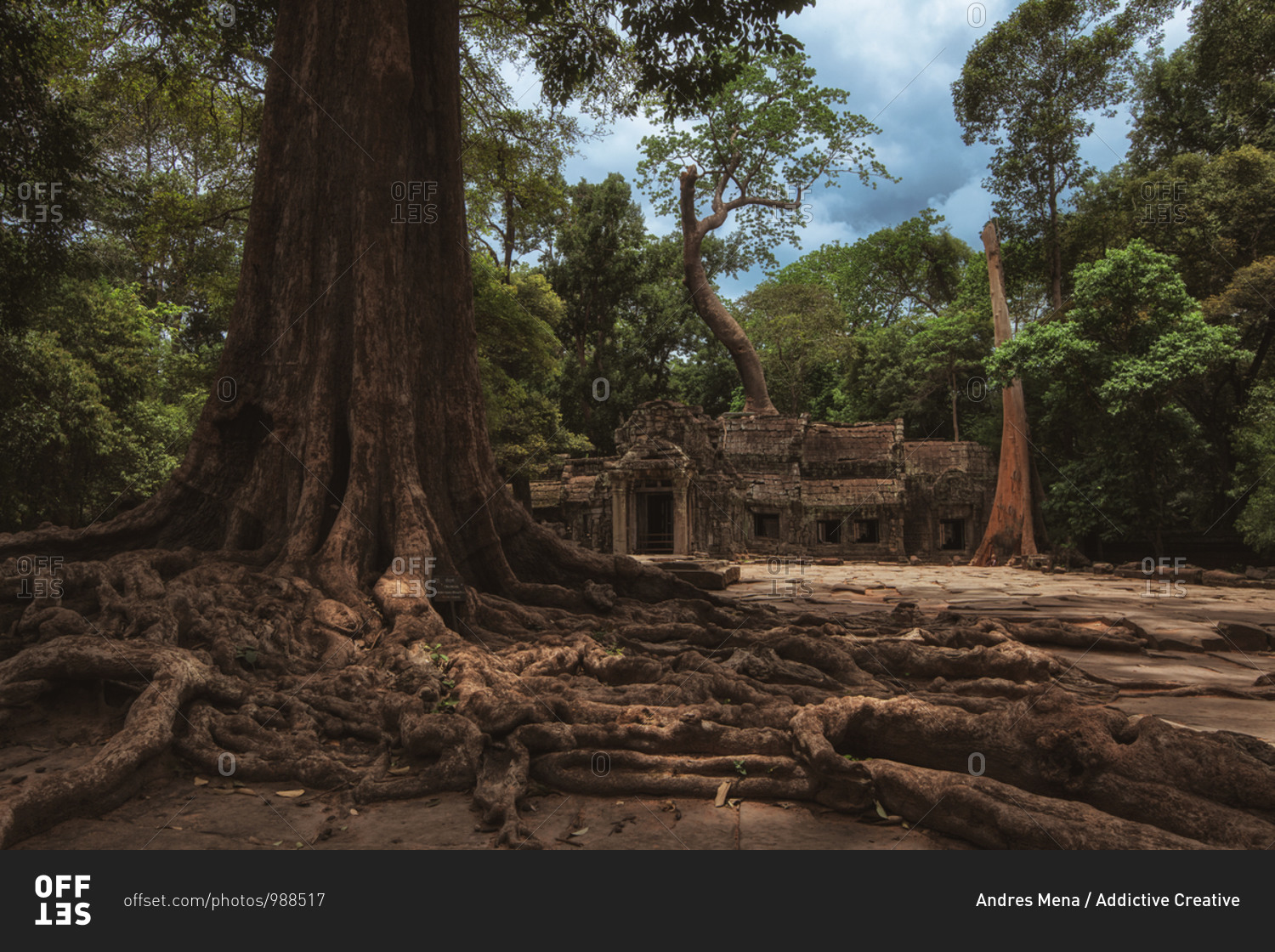 Low angle of wonderful scenery of aged Buddhist temple covered with huge tree roots and located in jungles in Cambodia
