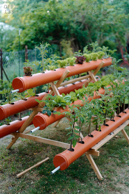 Rows of PVC tubes serving as flowerbeds placed on wooden triangle holder in green summer garden on sunny day