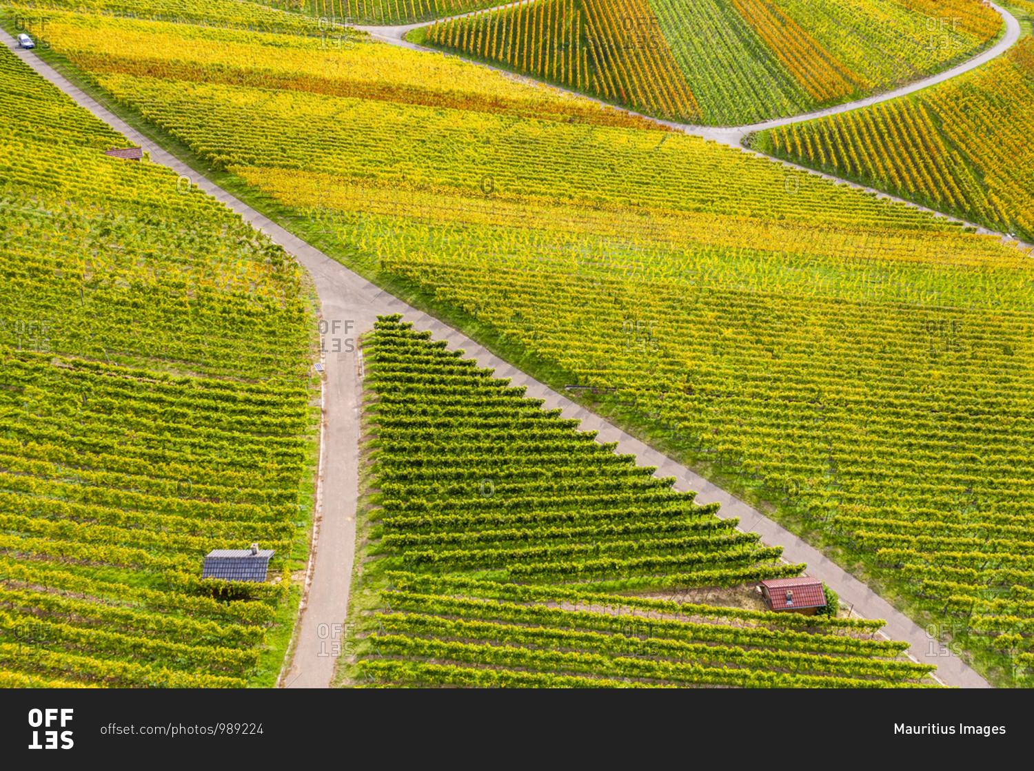 Drone shot, autumn, vineyards near Strumpfelbach, Remstal, Baden Wurttemberg, Germany