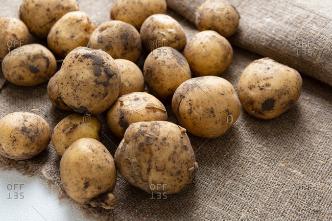 Close up of young potatoes on sack cloth