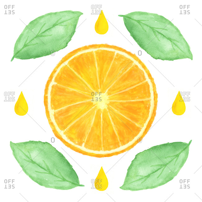 Illustration of an orange slice