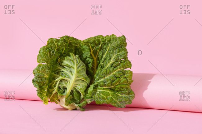 A green cabbage leaning on a pink paper roll, against a pink background with some blank space around it