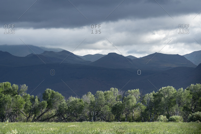 USA, Idaho, Sun Valley, Line of trees with mountains in background