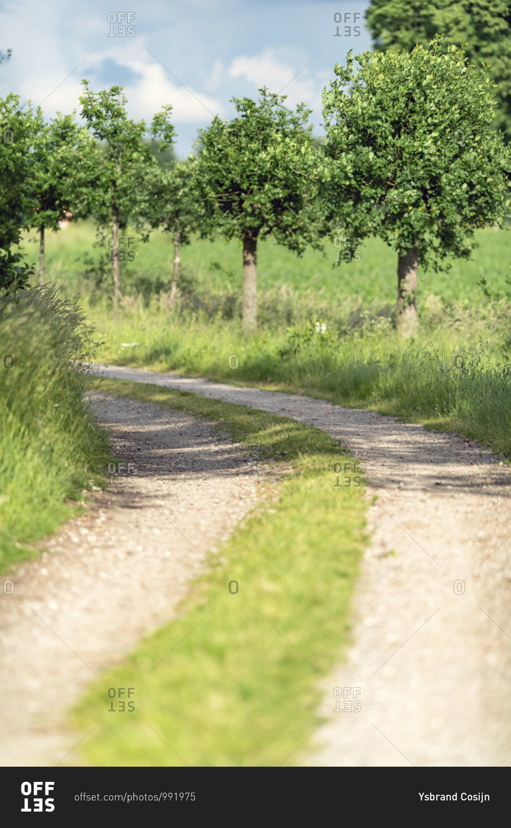 Gravel paths in the countryside