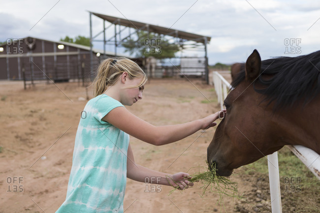 Blonde girl feeding a brown horse