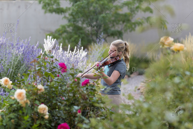 Teenage girl standing among flowering roses and shrubs, playing a violin