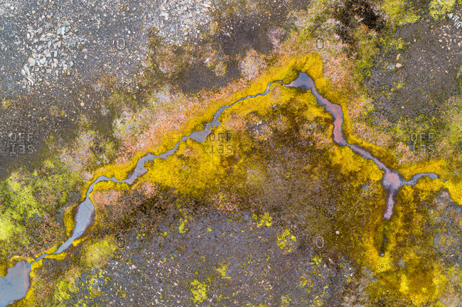 Abstract aerial view of small stream of water, creating a colorful oasis, Sprengisandur, highlands of Iceland