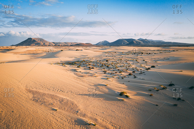 Aerial view of Corralejo Sand Dunes landscape during sunset in Fuerteventura, Canary islands.