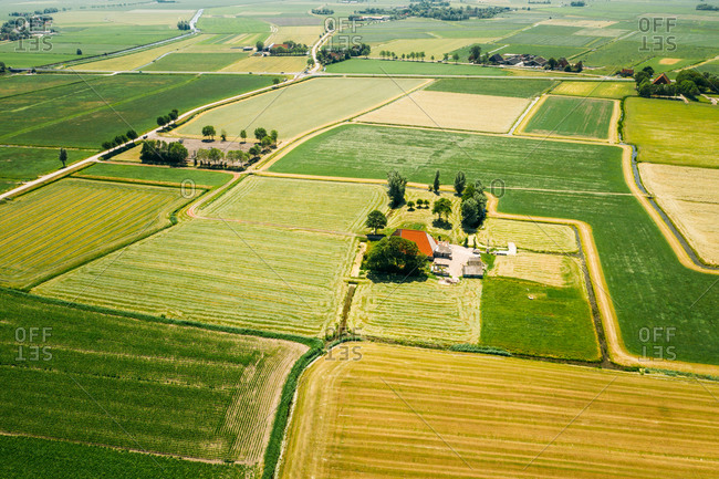Aerial view of farmland with farmer houses in Friesland, The Netherlands.