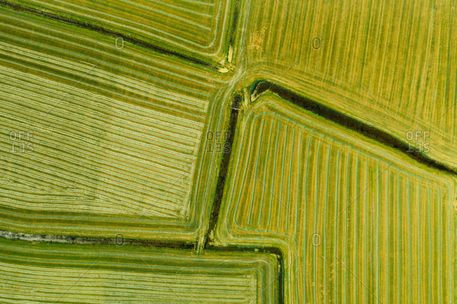 Aerial view of fresh mowed farmland in Friesland, The Netherlands.