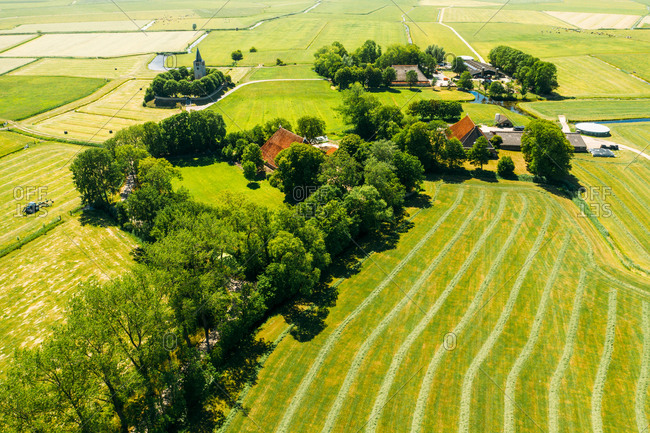 Aerial view of farmland with farmer houses and a church in Friesland, The Netherlands.