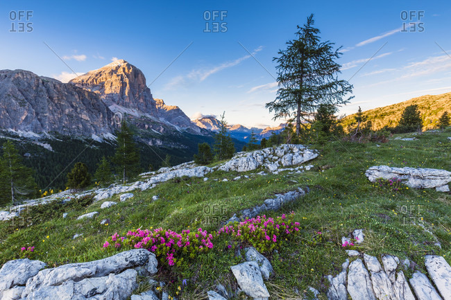 Tofana di Rozes (3225 m) at sunset, Falzarego Pass, Cortina d'Ampezzo, Dolomites, Alps, Province of Belluno, Veneto, Italy