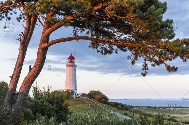 Dornbusch Lighthouse and slightly illuminated pine tree by the setting sun on Hiddensee Island, Mecklenburg-Western Pomerania, Germany