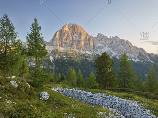 Tofana Stock Photos Offset