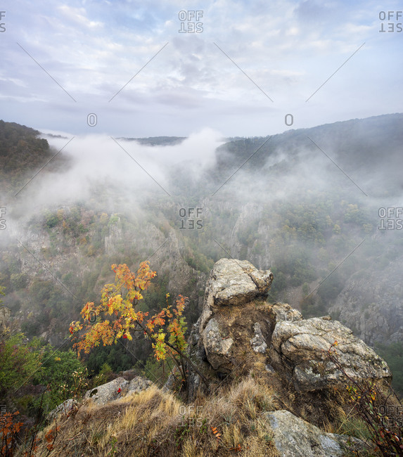 Germany, Saxony-Anhalt, Thale, Harz, view from the Rosstrappe in autumn, morning mist in the Bodetal