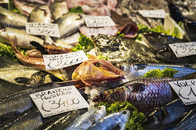 Fish market, Venice, historic center, Veneto, Italy, northern Italy, Europe