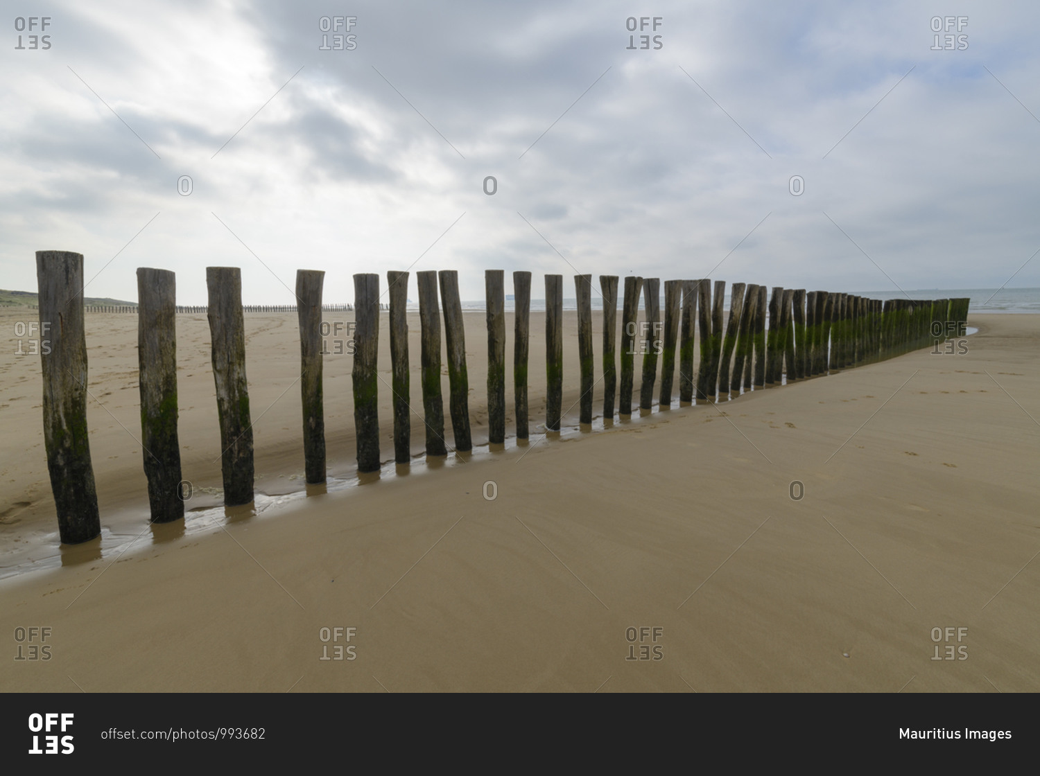 Wooden breakwater, Calais, Pas-de-Calais, Hauts-de-France, France